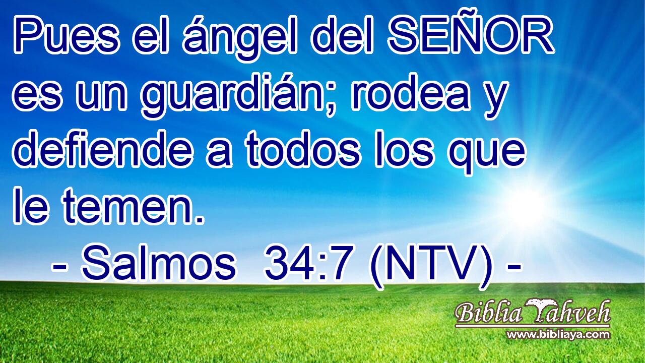 Pues el ángel del SEÑOR es un guardián; rodea y defiende a todos los que le temen.