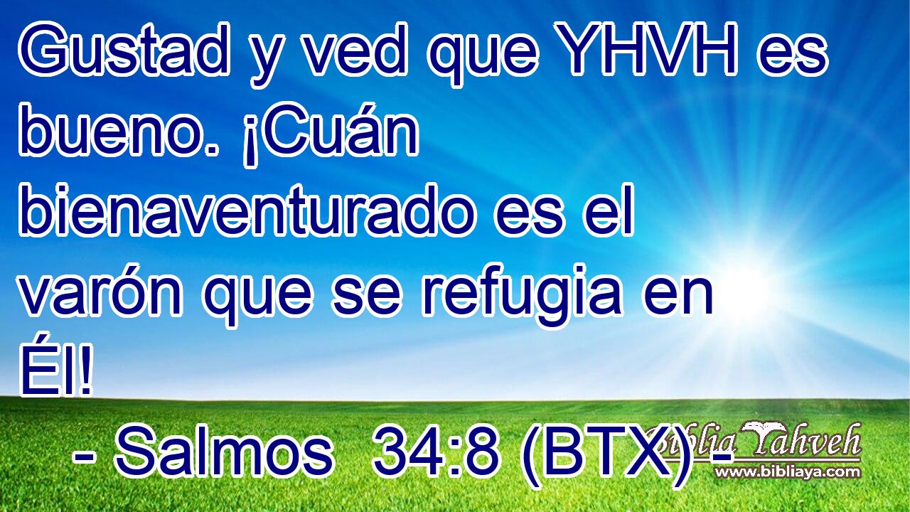 Gustad y ved que YHVH es bueno. ¡Cuán bienaventurado es el varón que se refugia en Él!