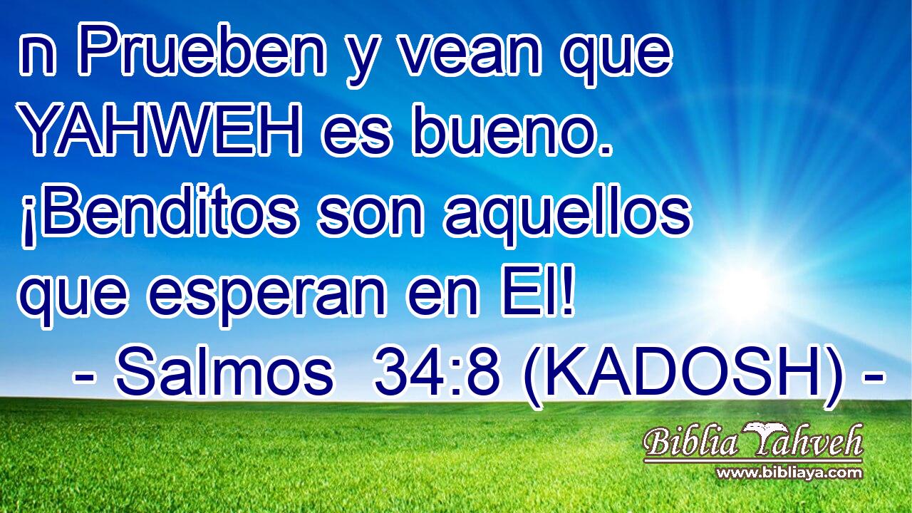  ח Prueben y vean que YAHWEH es bueno. ¡Benditos son aquellos que esperan en El! 
