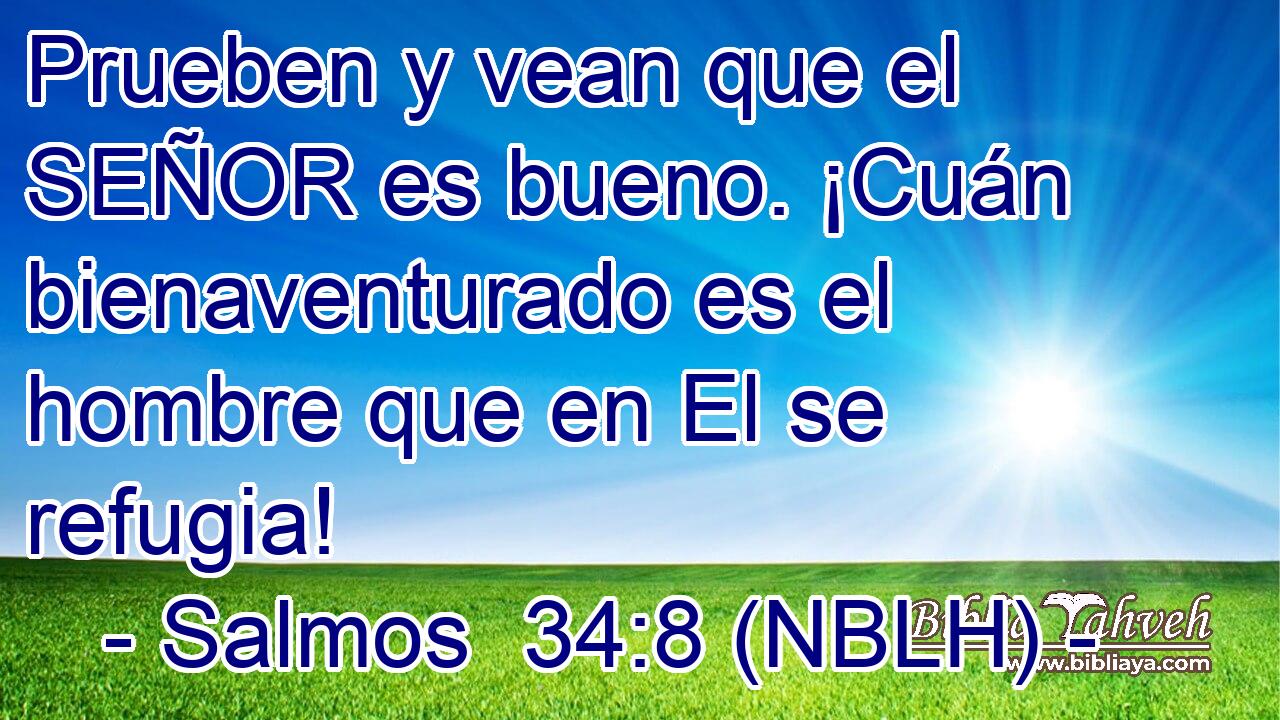  Prueben y vean que el SEÑOR es bueno. ¡Cuán bienaventurado es el hombre que en El se refugia! 