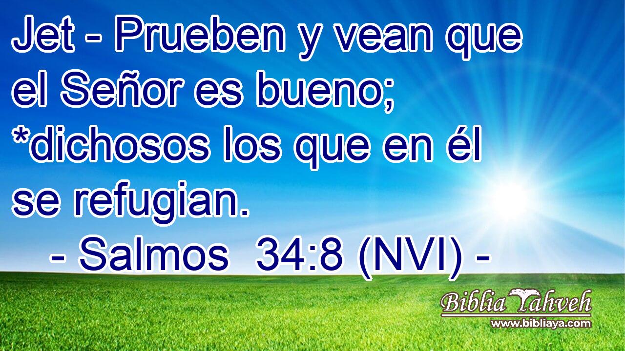  Jet - Prueben y vean que el Señor es bueno; *dichosos los que en él se refugian. 
