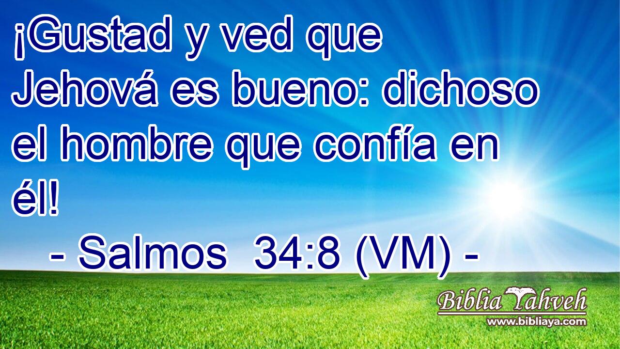  ¡Gustad y ved que Jehová es bueno: dichoso el hombre que confía en él! 