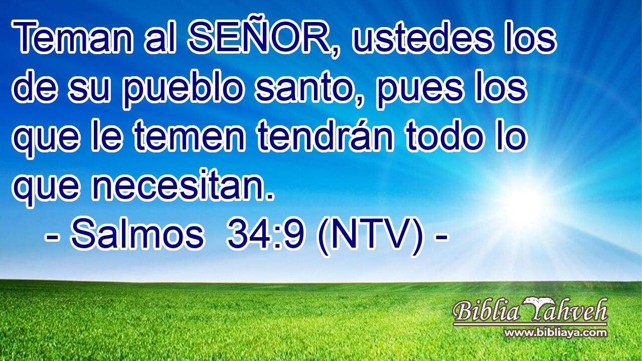 Teman al SEÑOR, ustedes los de su pueblo santo, pues los que le temen tendrán todo lo que necesitan.