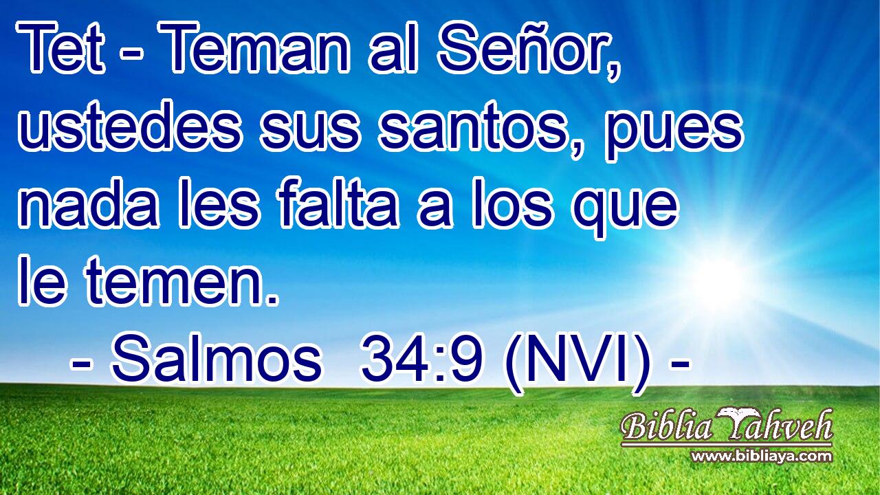 Tet - Teman al Señor, ustedes sus santos, pues nada les falta a los que le temen. 