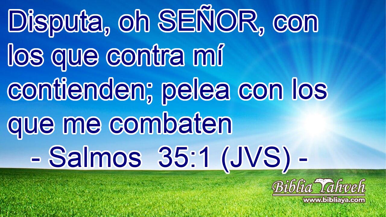 Disputa, oh SEÑOR, con los que contra mí contienden; pelea con los que me combaten