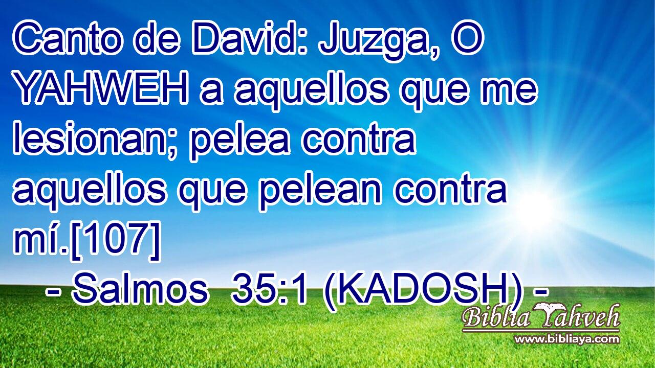  Canto de David: Juzga, O YAHWEH a aquellos que me lesionan; pelea contra aquellos que pelean contra mí.[107] 