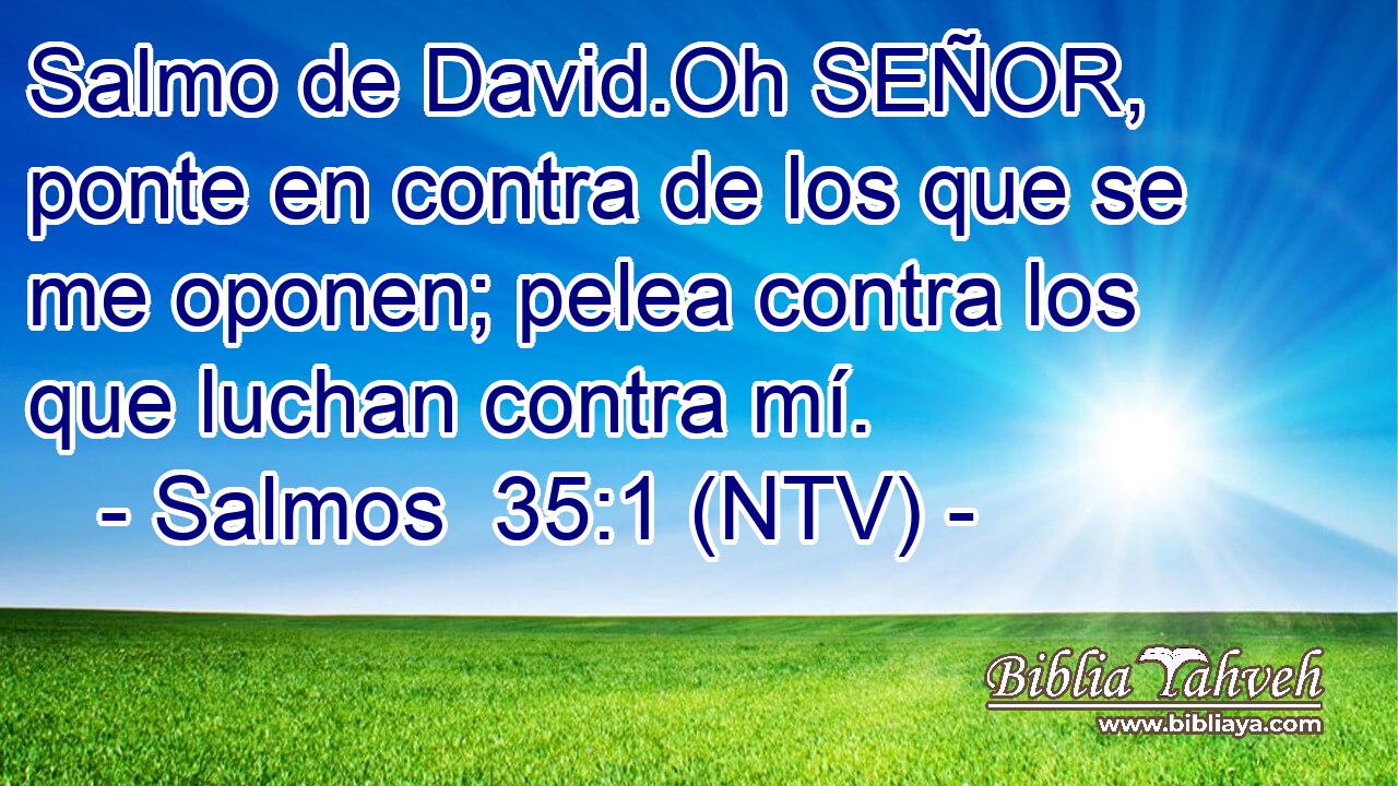 Salmo de David.Oh SEÑOR, ponte en contra de los que se me oponen; pelea contra los que luchan contra mí.