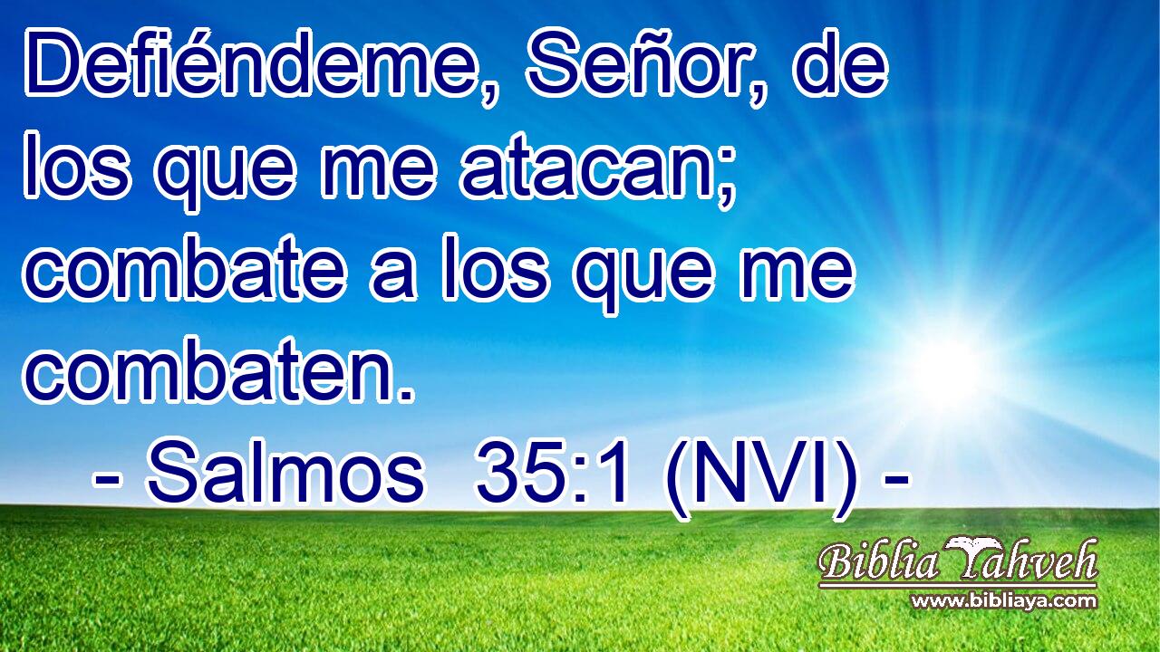  Defiéndeme, Señor, de los que me atacan; combate a los que me combaten. 