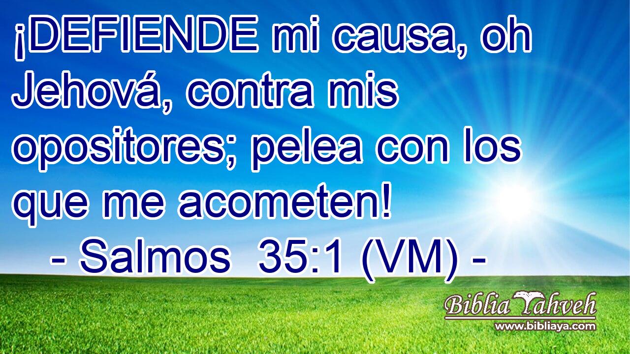  ¡DEFIENDE mi causa, oh Jehová, contra mis opositores; pelea con los que me acometen! 