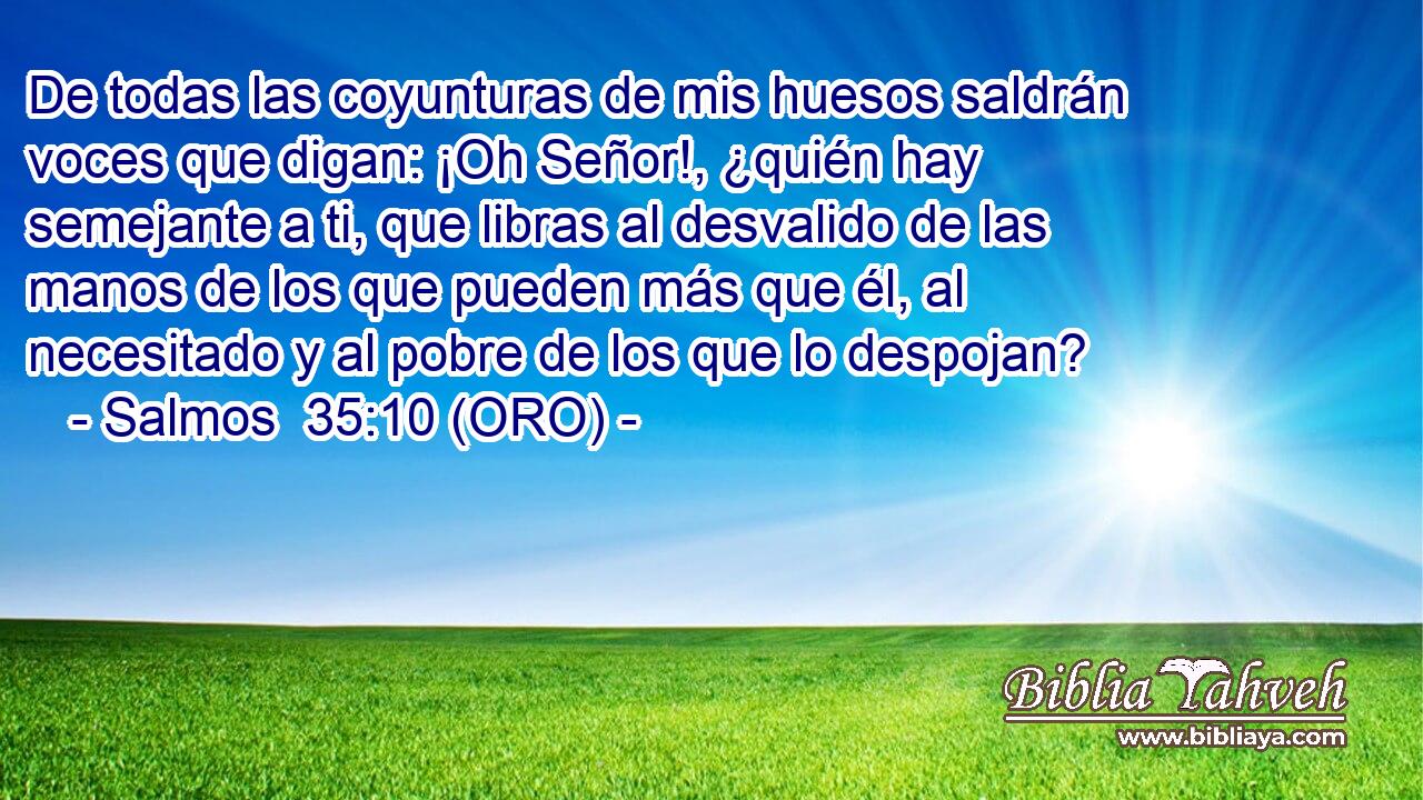  De todas las coyunturas de mis huesos saldrán voces que digan: ¡Oh Señor!, ¿quién hay semejante a ti, que libras al desvalido de las manos de los que pueden más que él, al necesitado y al pobre de los que lo despojan? 