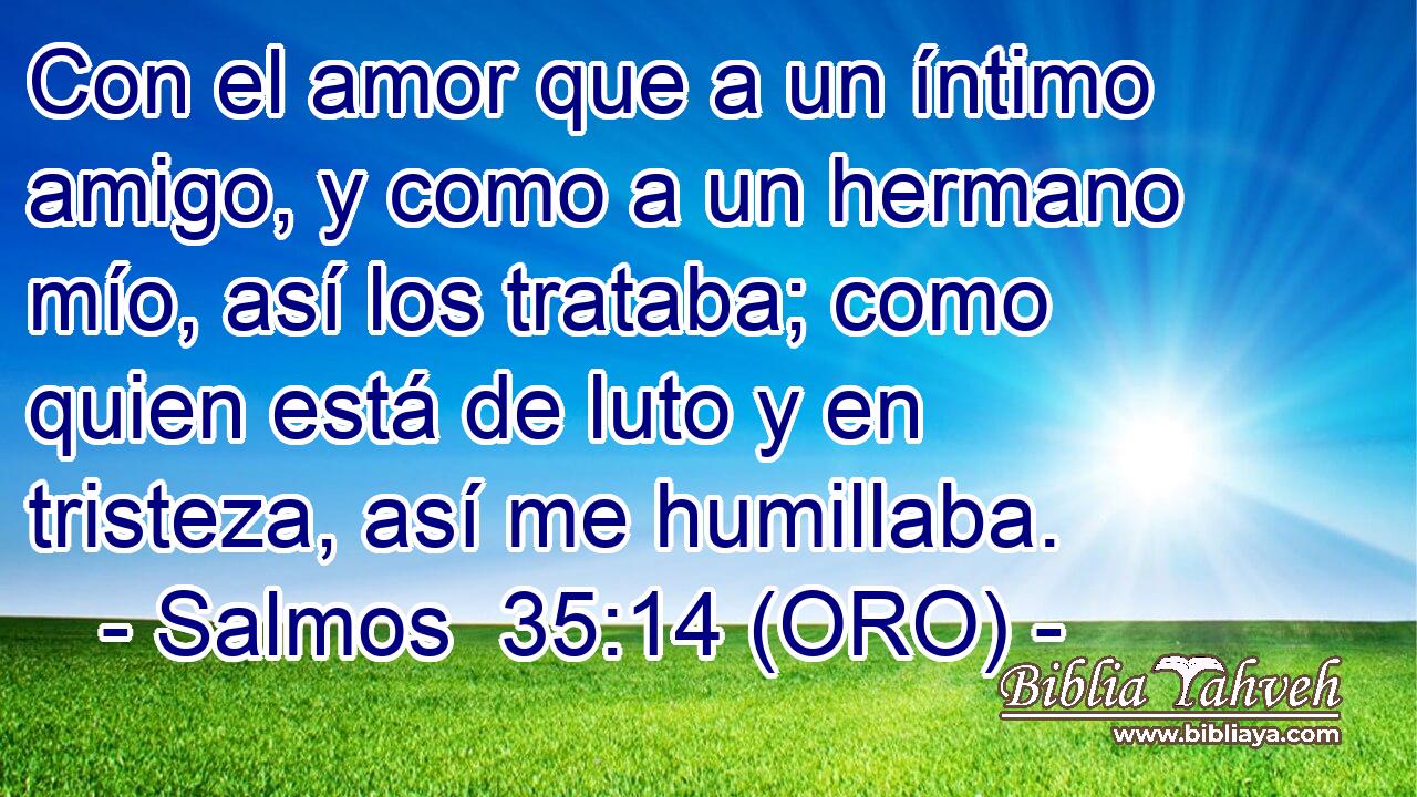  Con el amor que a un íntimo amigo, y como a un hermano mío, así los trataba; como quien está de luto y en tristeza, así me humillaba. 