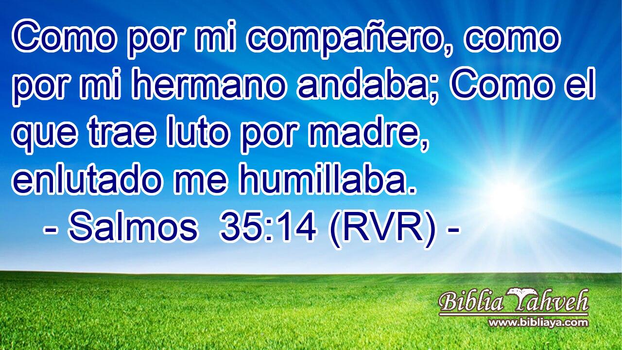 Como por mi compañero, como por mi hermano andaba; Como el que trae luto por madre, enlutado me humillaba.