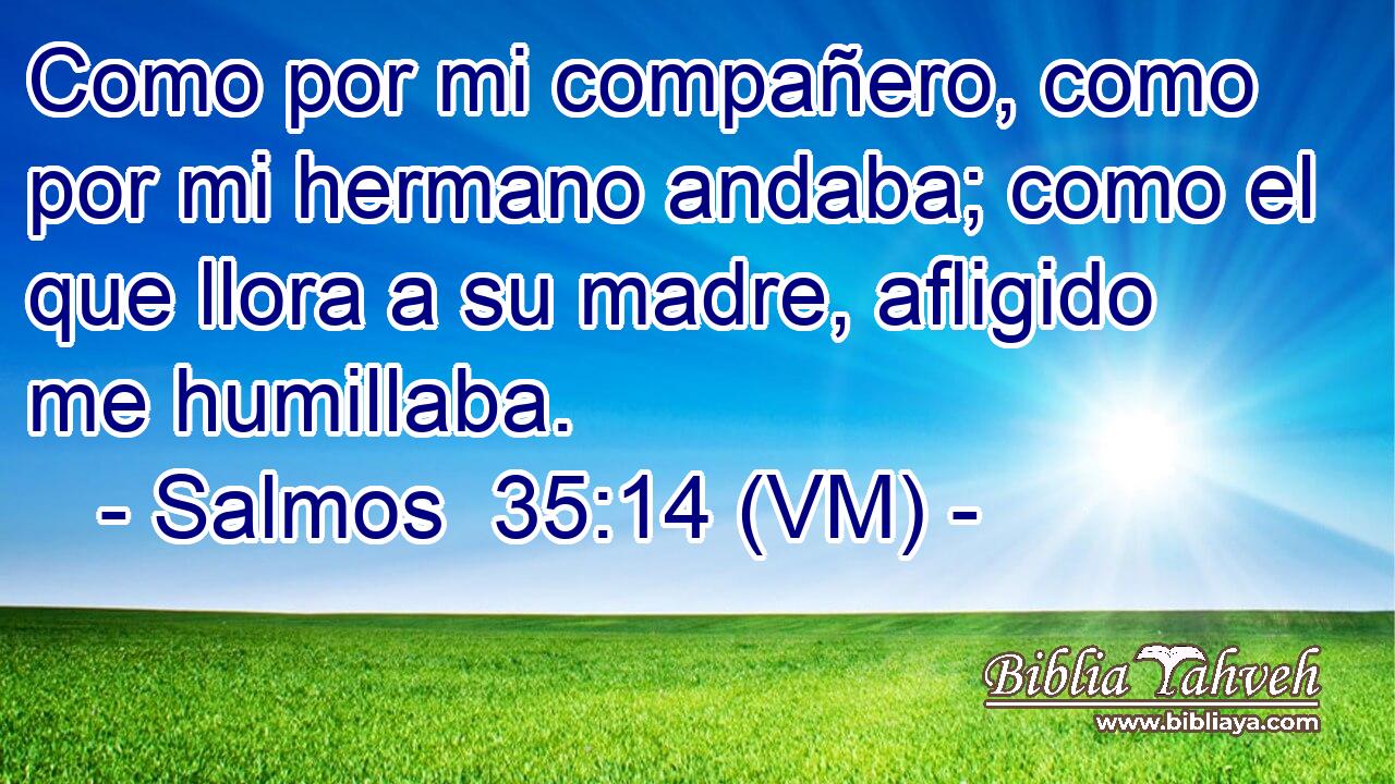  Como por mi compañero, como por mi hermano andaba; como el que llora a su madre, afligido me humillaba. 