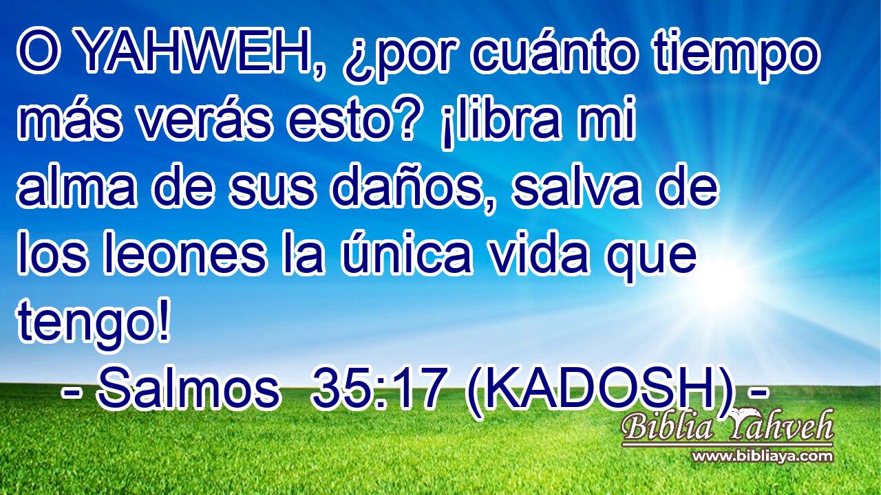  O YAHWEH, ¿por cuánto tiempo más verás esto? ¡libra mi alma de sus daños, salva de los leones la única vida que tengo! 