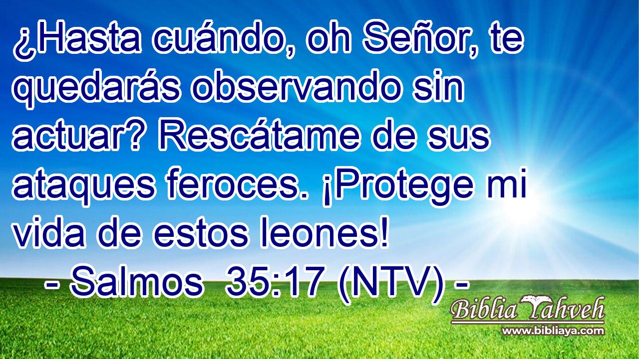 ¿Hasta cuándo, oh Señor, te quedarás observando sin actuar? Rescátame de sus ataques feroces. ¡Protege mi vida de estos leones!