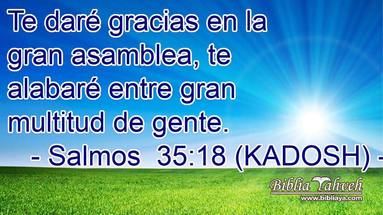  Te daré gracias en la gran asamblea, te alabaré entre gran multitud de gente. 