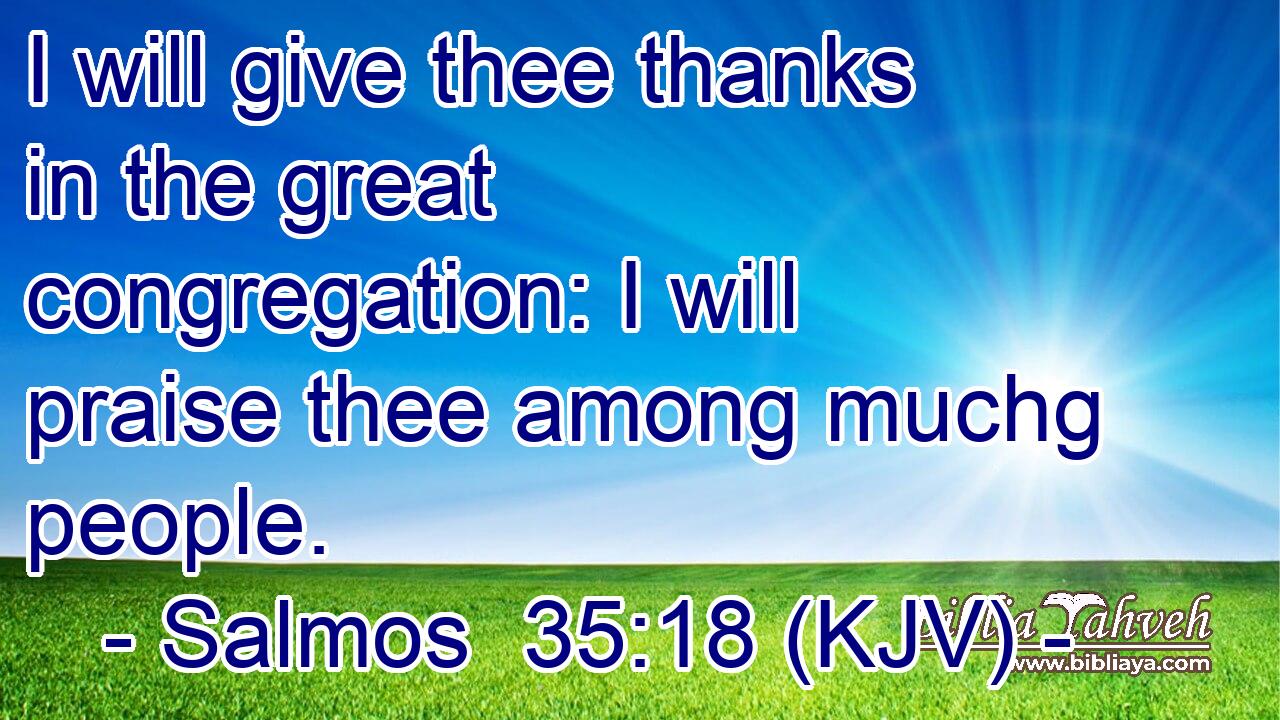 I will give thee thanks in the great congregation: I will praise thee among muchg people.