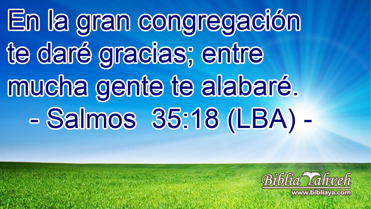 En la gran congregación te daré gracias; entre mucha gente te alabaré.