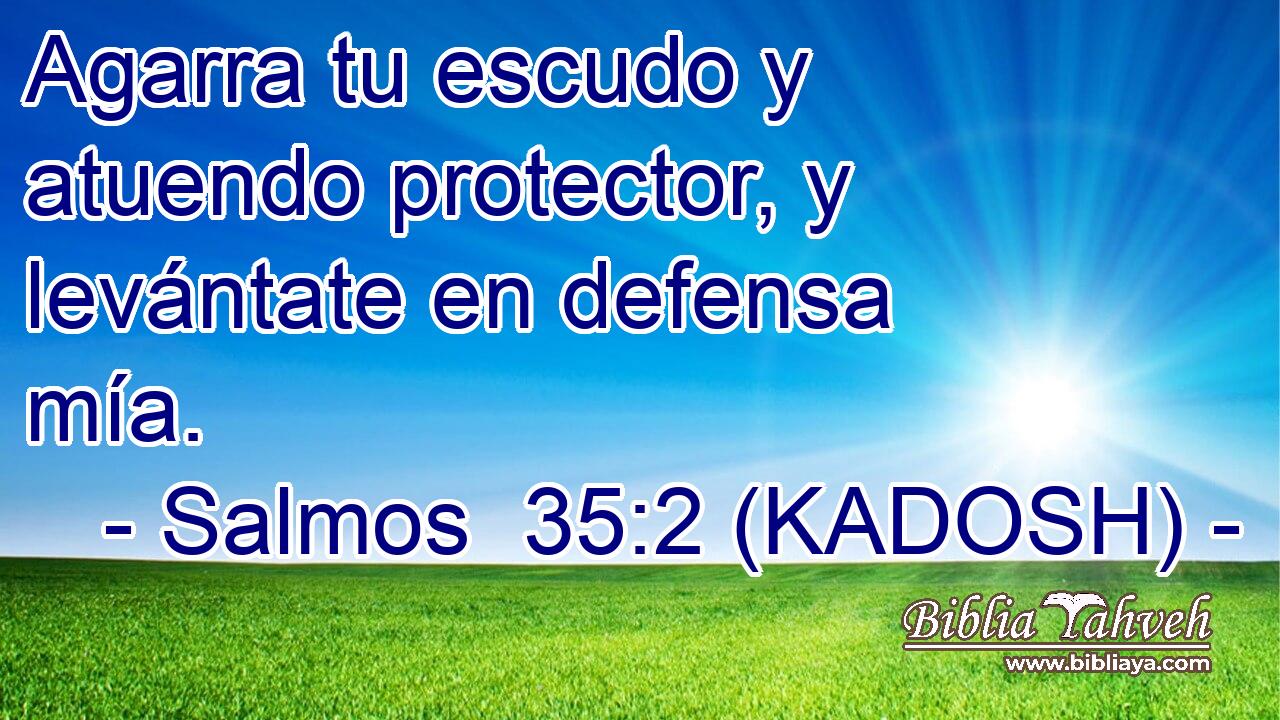 Agarra tu escudo y atuendo protector, y levántate en defensa mía. 