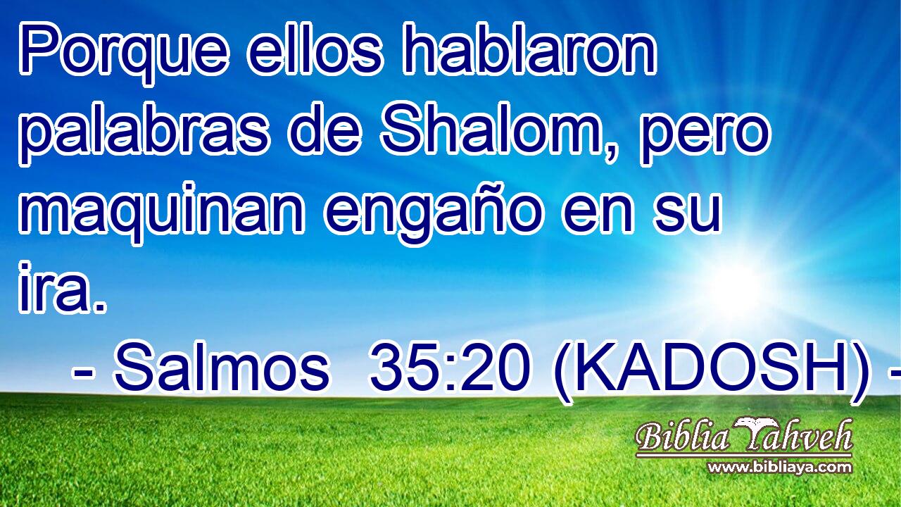  Porque ellos hablaron palabras de Shalom, pero maquinan engaño en su ira. 
