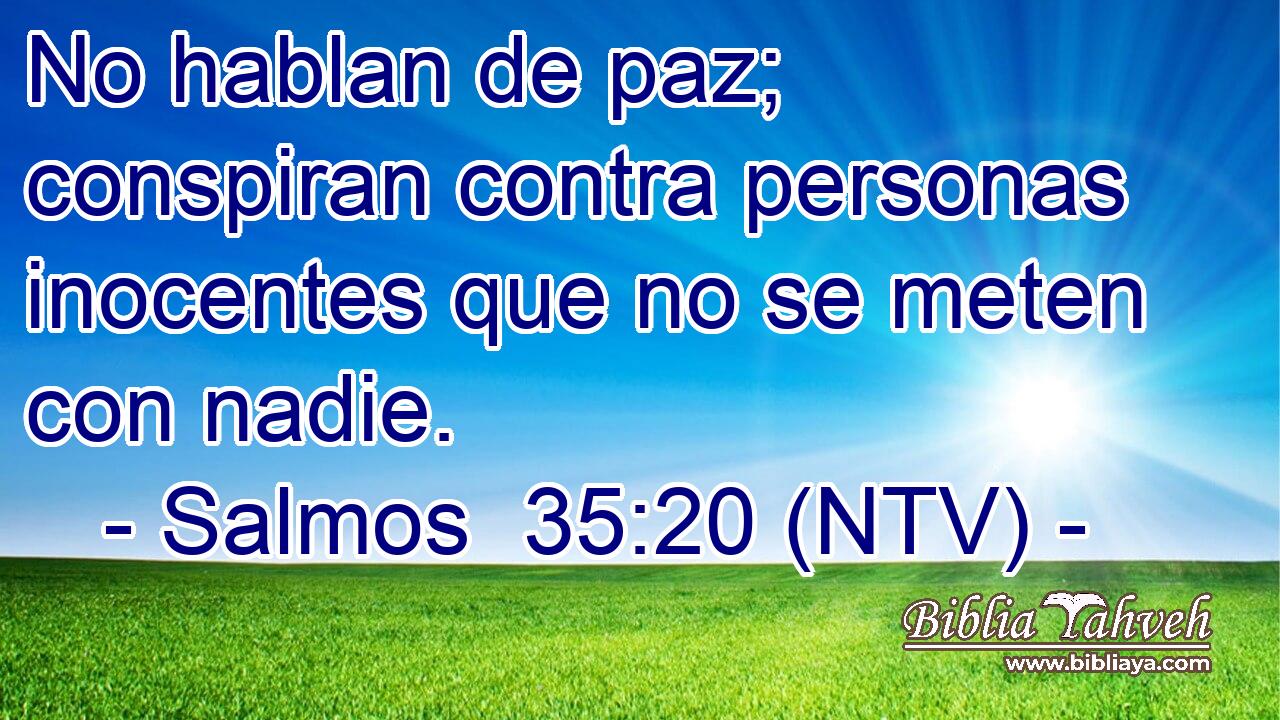 No hablan de paz; conspiran contra personas inocentes que no se meten con nadie.