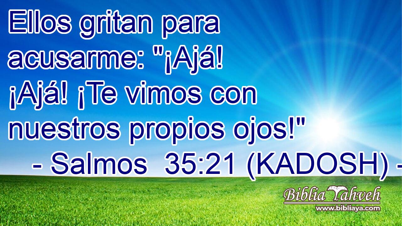  Ellos gritan para acusarme: 