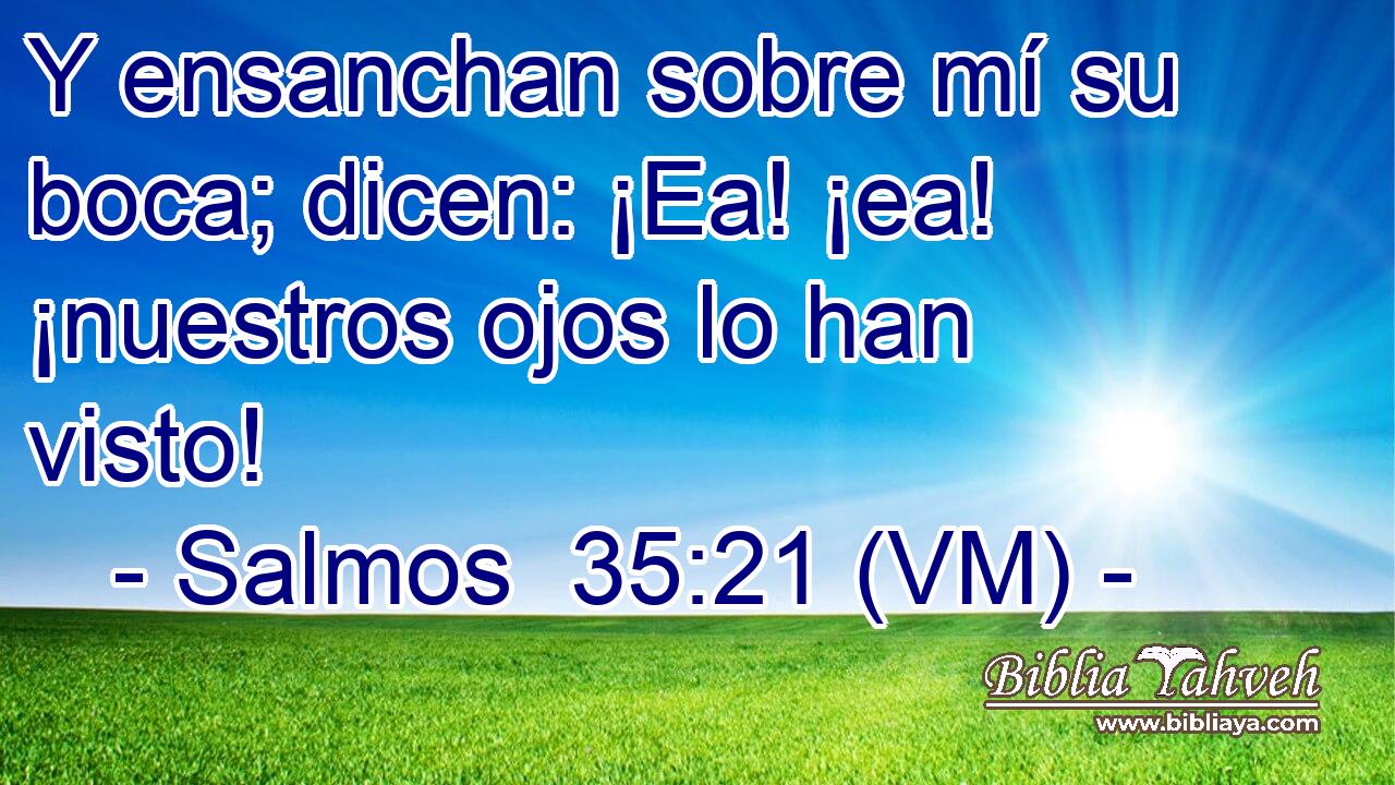  Y ensanchan sobre mí su boca; dicen: ¡Ea! ¡ea! ¡nuestros ojos lo han visto! 