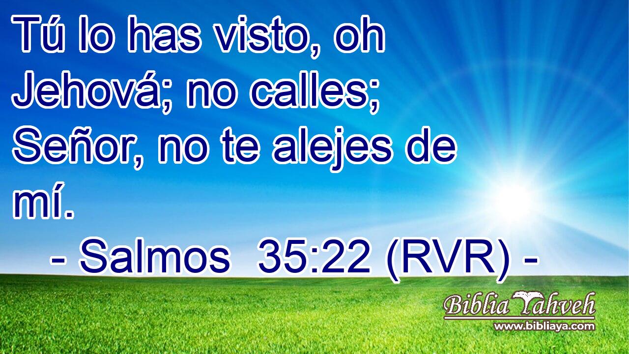Tú lo has visto, oh Jehová; no calles; Señor, no te alejes de mí.