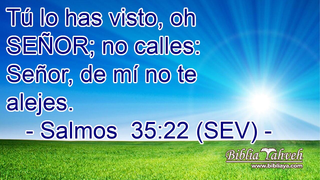 Tú lo has visto, oh SEÑOR; no calles: Señor, de mí no te alejes.