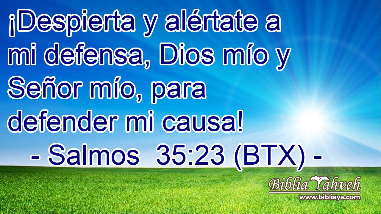 ¡Despierta y alértate a mi defensa, Dios mío y Señor mío, para defender mi causa!