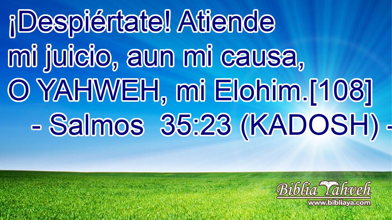  ¡Despiértate! Atiende mi juicio, aun mi causa, O YAHWEH, mi Elohim.[108] 
