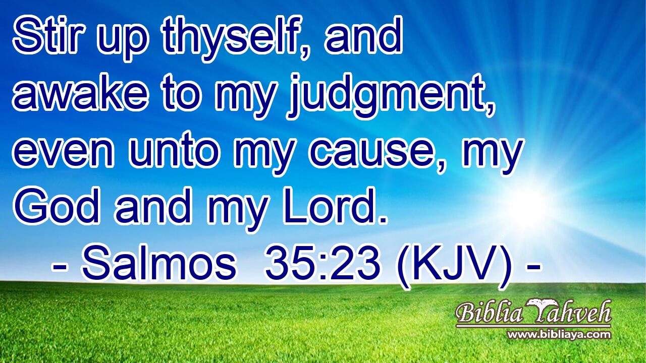 Stir up thyself, and awake to my judgment, even unto my cause, my God and my Lord.