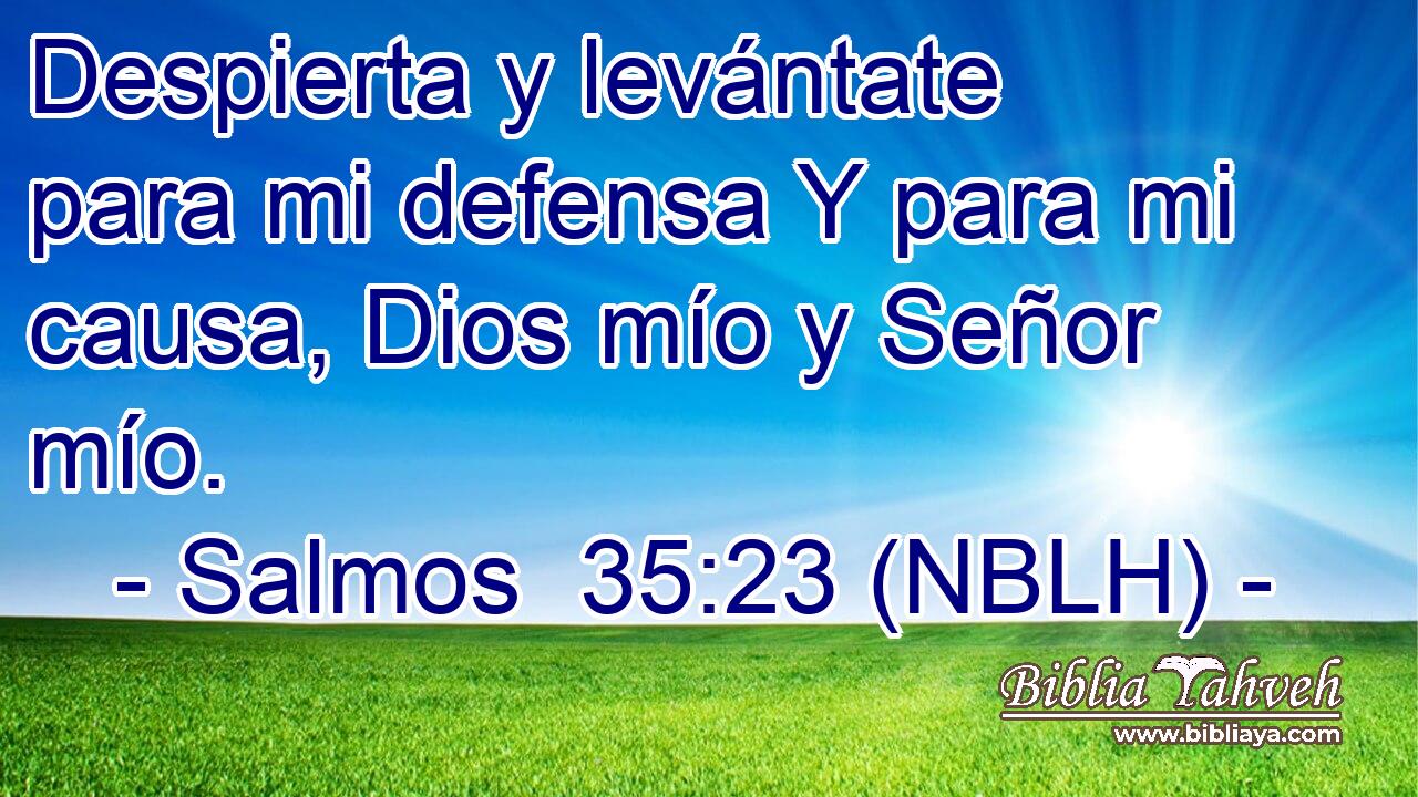  Despierta y levántate para mi defensa Y para mi causa, Dios mío y Señor mío. 
