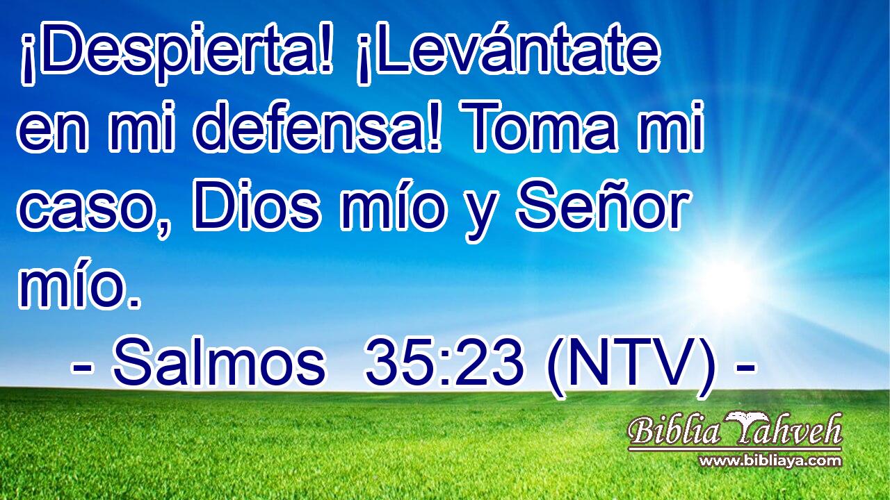 ¡Despierta! ¡Levántate en mi defensa! Toma mi caso, Dios mío y Señor mío.