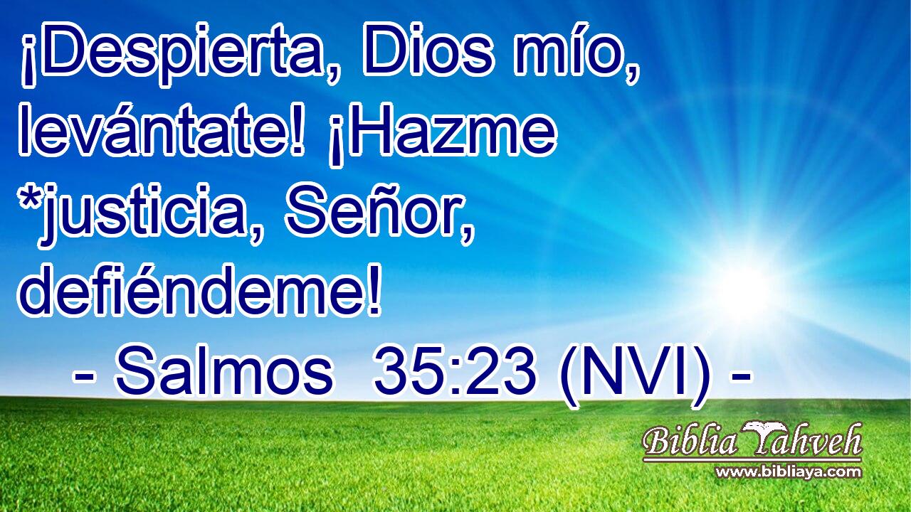  ¡Despierta, Dios mío, levántate! ¡Hazme *justicia, Señor, defiéndeme! 