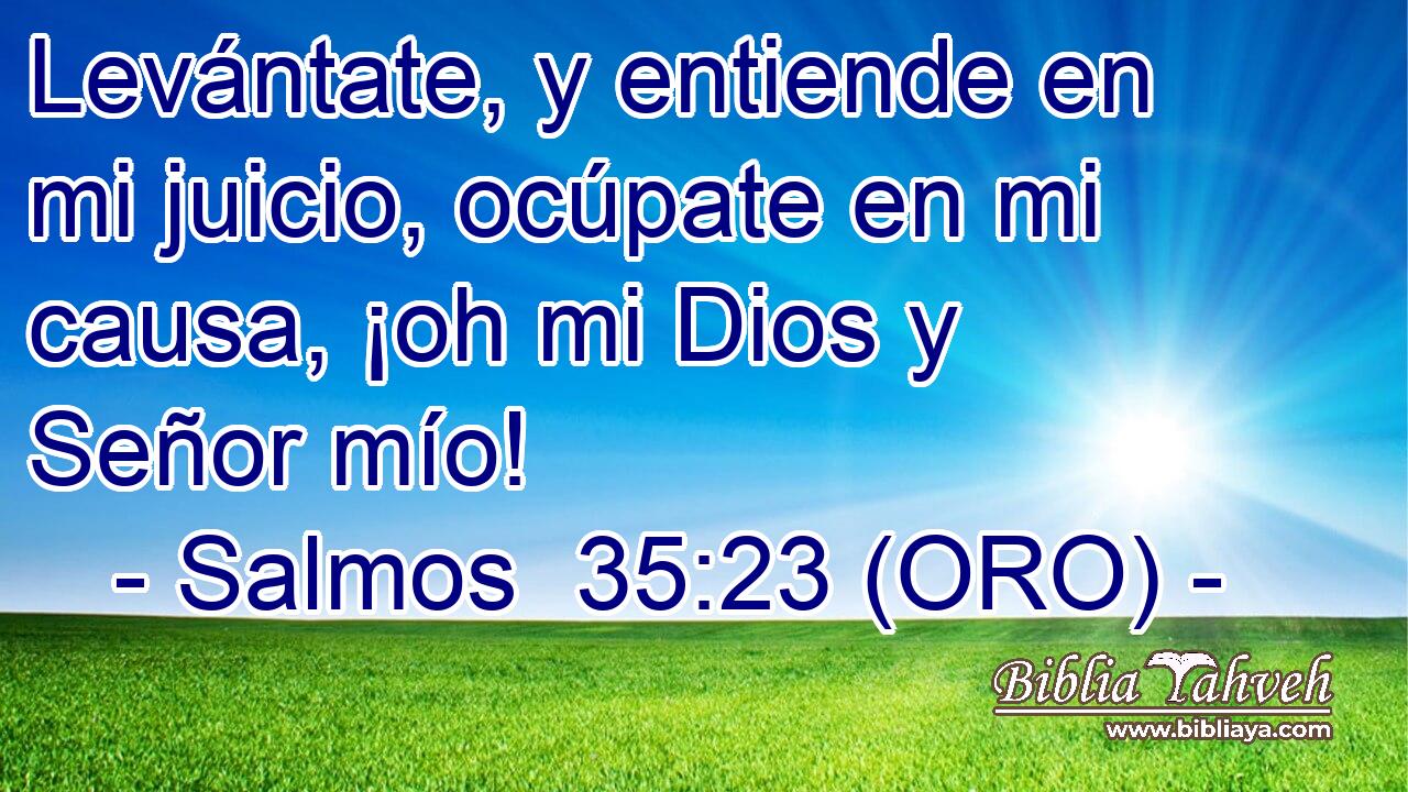  Levántate, y entiende en mi juicio, ocúpate en mi causa, ¡oh mi Dios y Señor mío! 
