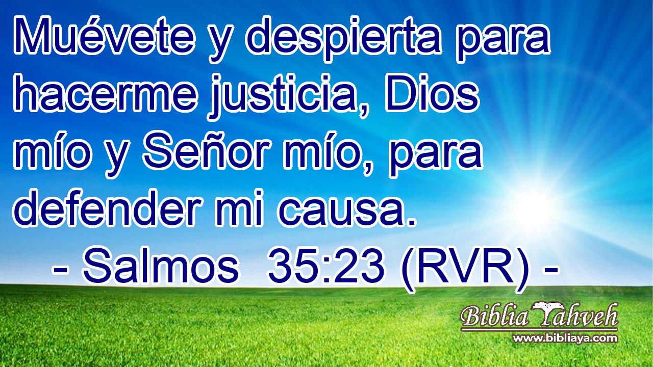 Muévete y despierta para hacerme justicia, Dios mío y Señor mío, para defender mi causa.