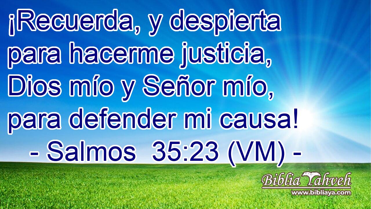  ¡Recuerda, y despierta para hacerme justicia, Dios mío y Señor mío, para defender mi causa! 