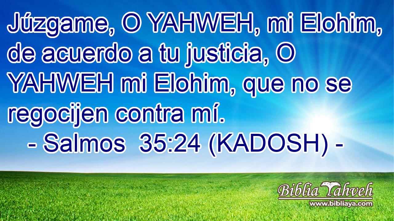  Júzgame, O YAHWEH, mi Elohim, de acuerdo a tu justicia, O YAHWEH mi Elohim, que no se regocijen contra mí. 