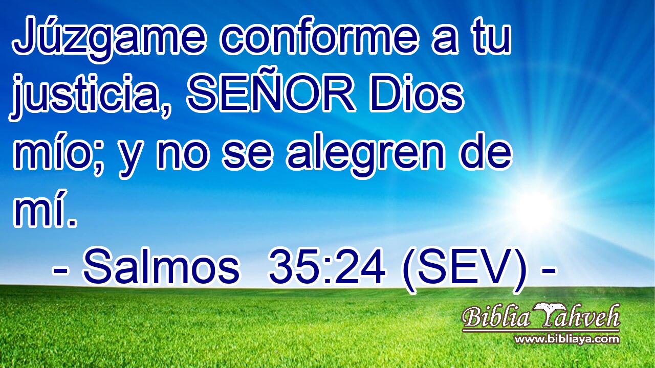 Júzgame conforme a tu justicia, SEÑOR Dios mío; y no se alegren de mí.