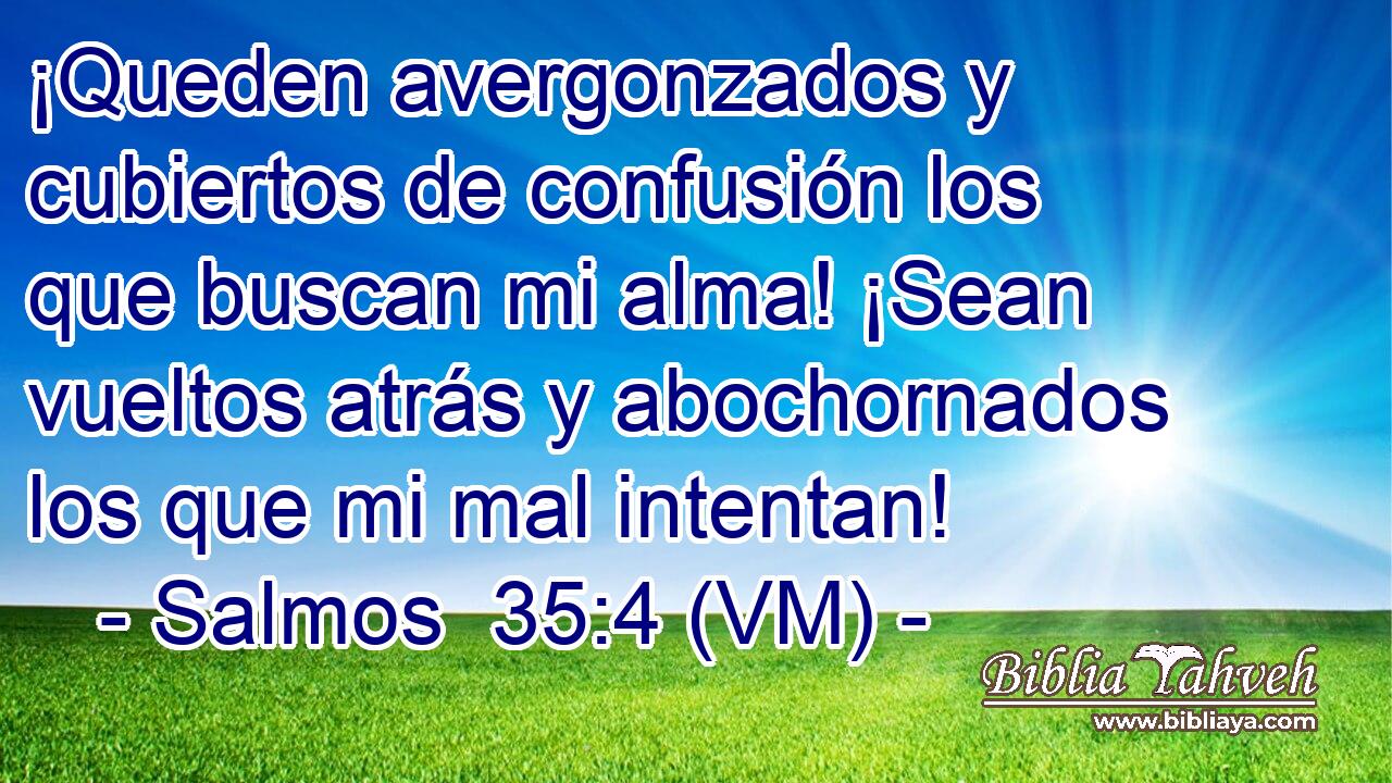 ¡Queden avergonzados y cubiertos de confusión los que buscan mi alma! ¡Sean vueltos atrás y abochornados los que mi mal intentan! 