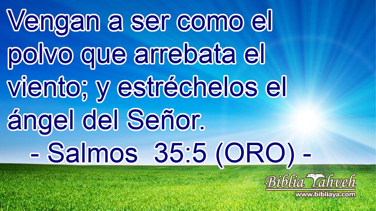  Vengan a ser como el polvo que arrebata el viento; y estréchelos el ángel del Señor. 