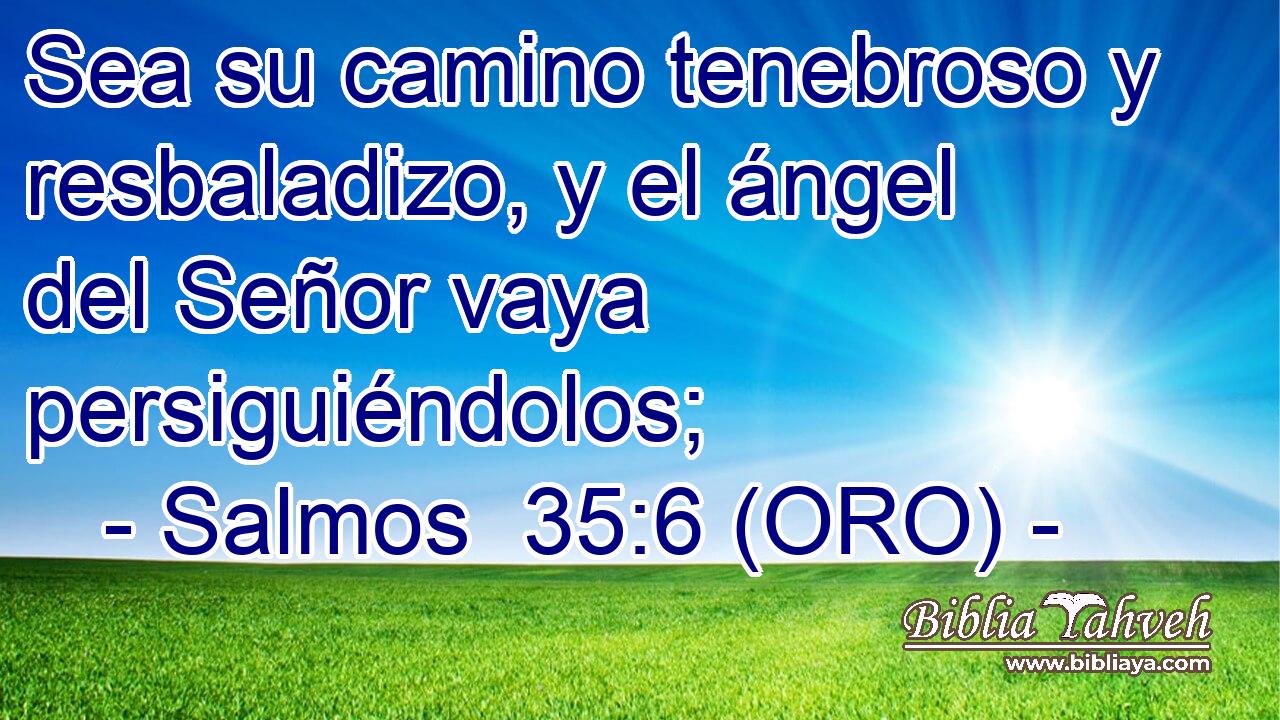 Sea su camino tenebroso y resbaladizo, y el ángel del Señor vaya persiguiéndolos; 