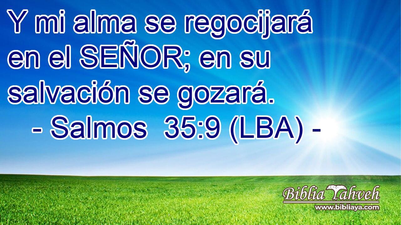 Y mi alma se regocijará en el SEÑOR; en su salvación se gozará.