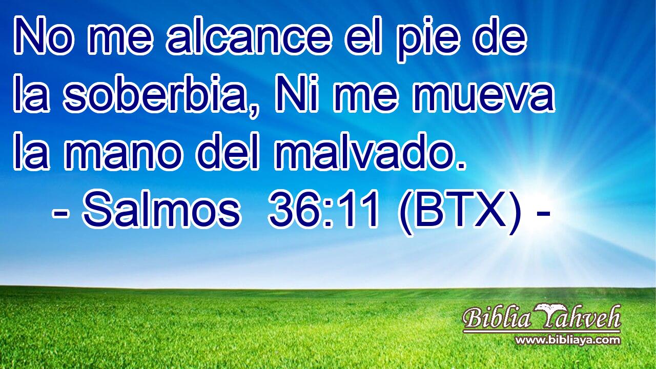 No me alcance el pie de la soberbia, Ni me mueva la mano del malvado.