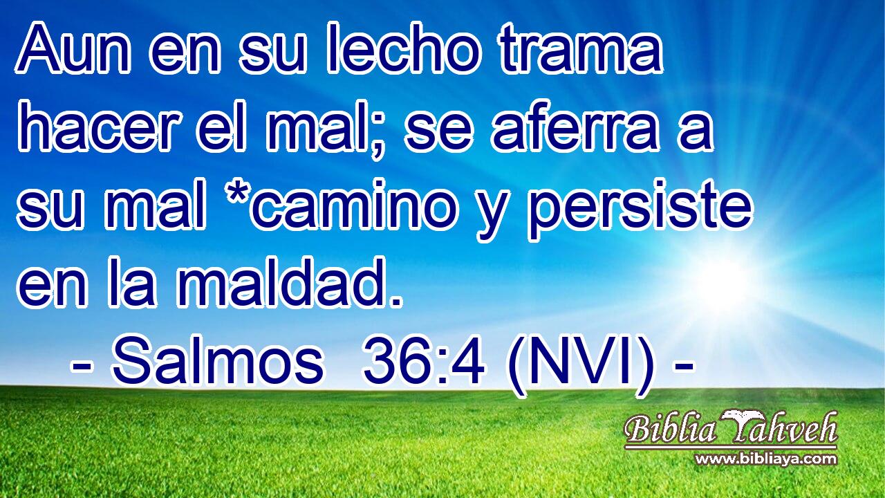  Aun en su lecho trama hacer el mal; se aferra a su mal *camino y persiste en la maldad. 