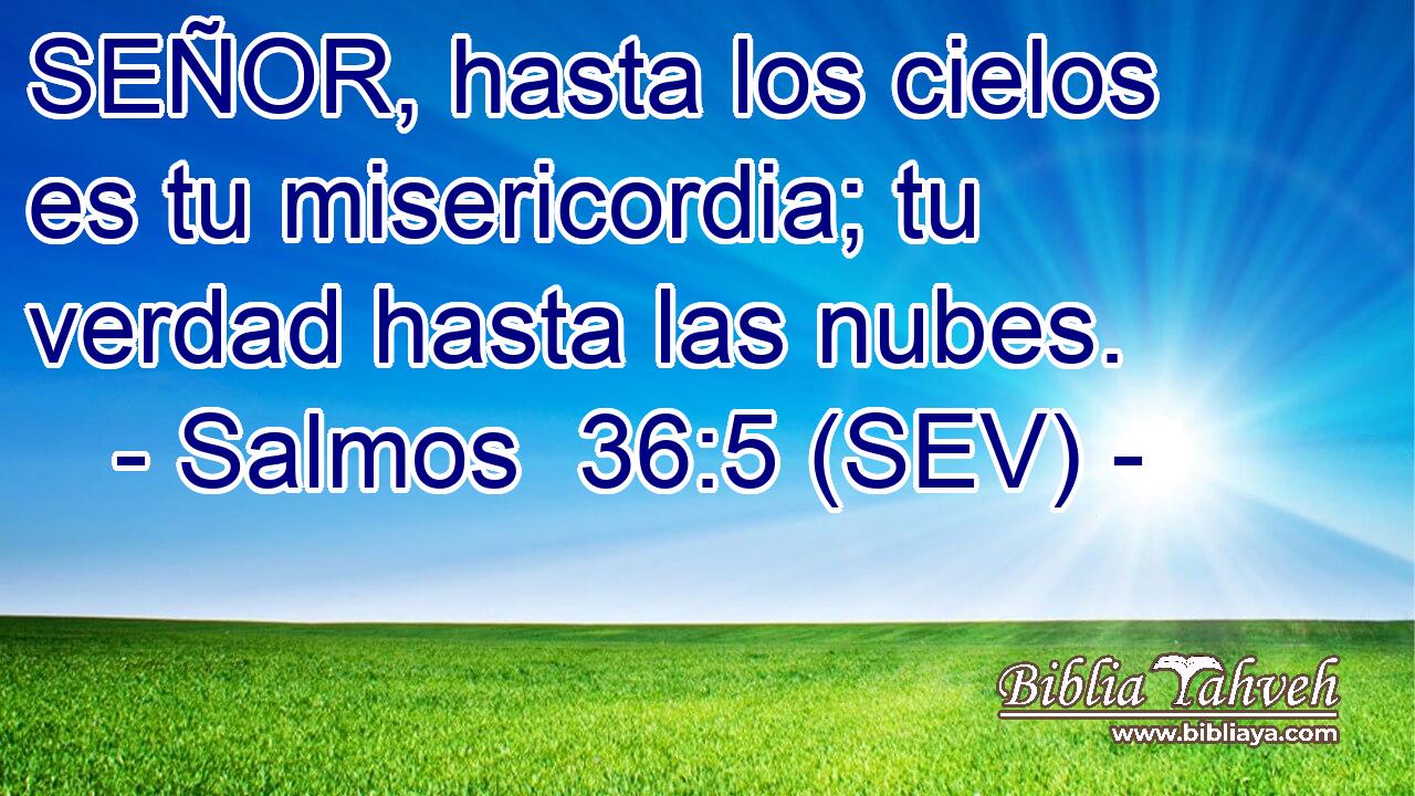 SEÑOR, hasta los cielos es tu misericordia; tu verdad hasta las nubes.