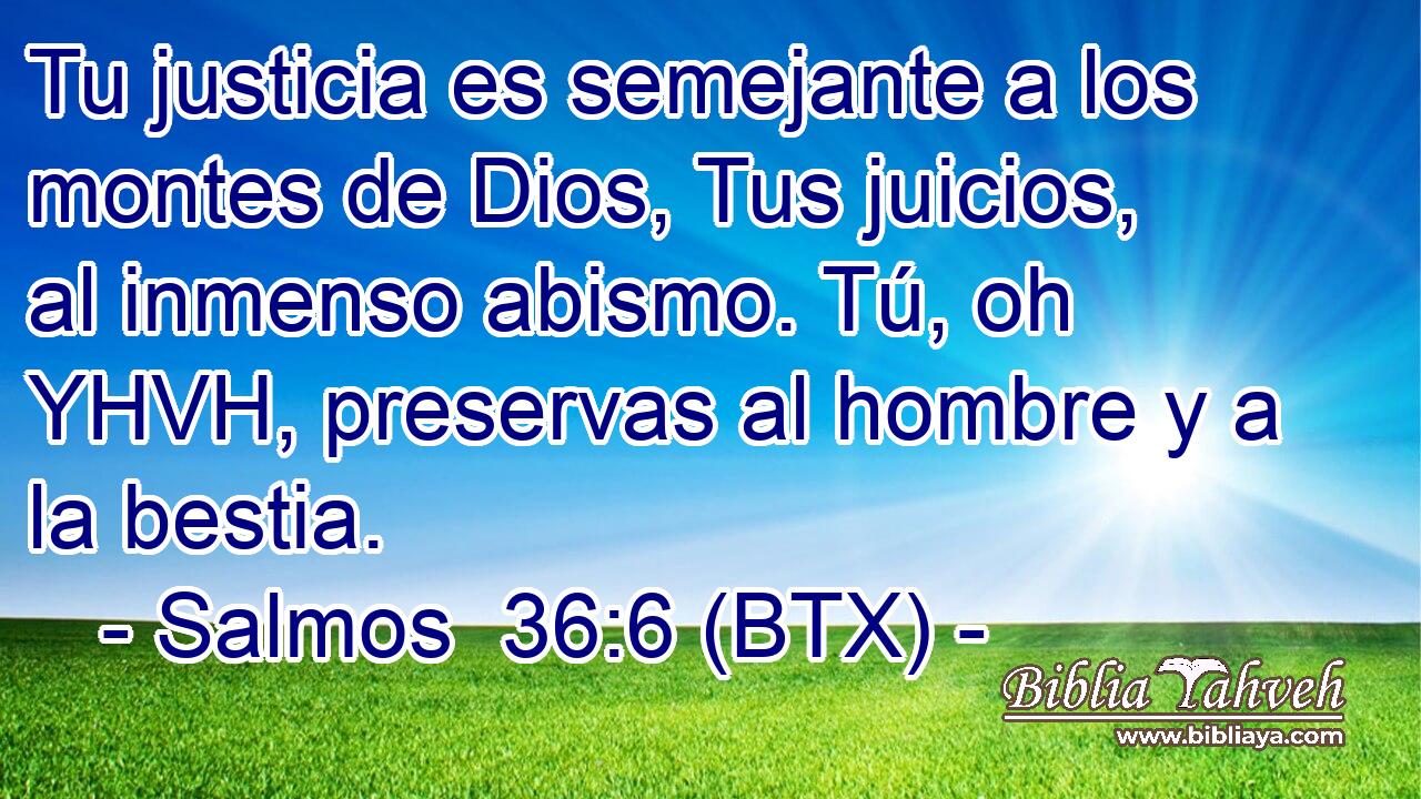 Tu justicia es semejante a los montes de Dios, Tus juicios, al inmenso abismo. Tú, oh YHVH, preservas al hombre y a la bestia.
