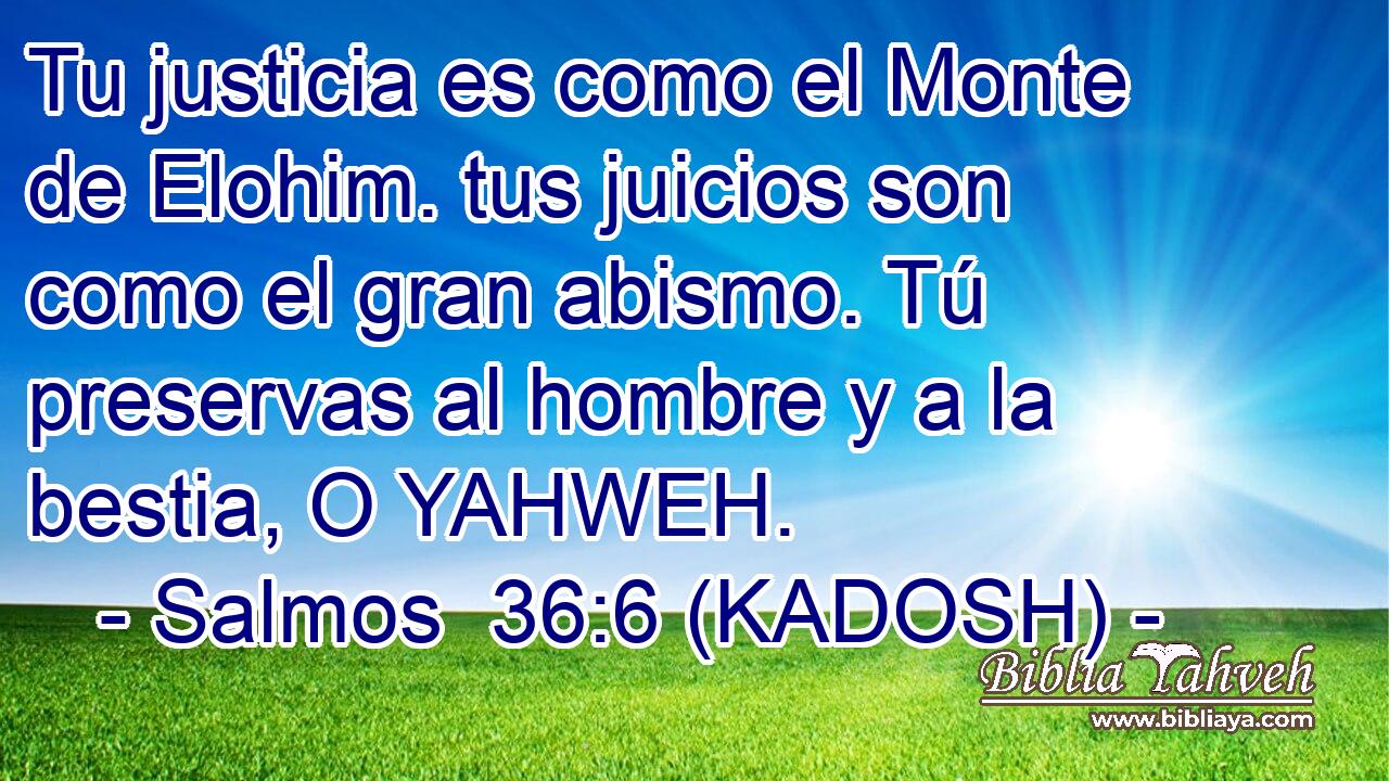  Tu justicia es como el Monte de Elohim. tus juicios son como el gran abismo. Tú preservas al hombre y a la bestia, O YAHWEH. 