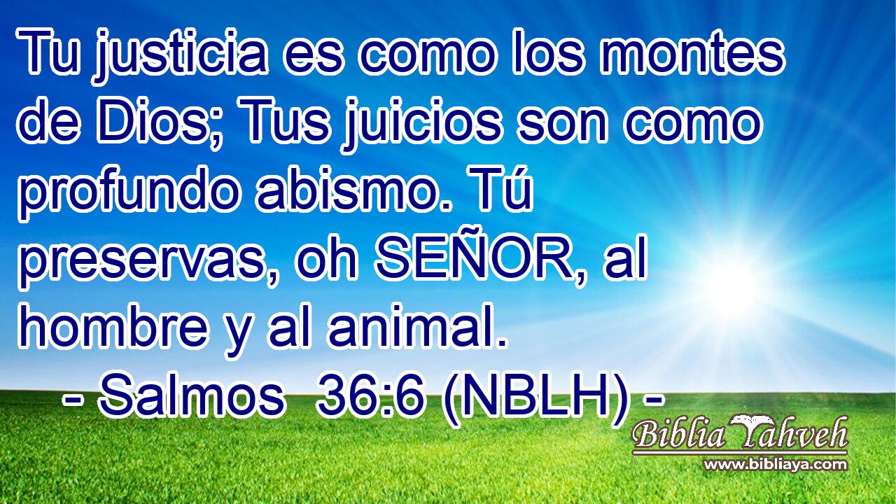  Tu justicia es como los montes de Dios; Tus juicios son como profundo abismo. Tú preservas, oh SEÑOR, al hombre y al animal. 